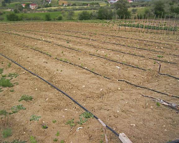 Sapori della Majella | Irrigare i campi